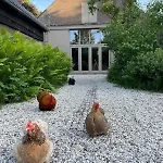 B&B Boudevino
