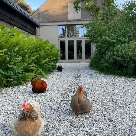 Bed & Breakfast Boudevino