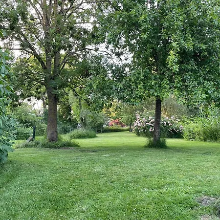 Boudevino Bed and Breakfast Lekkerkerk