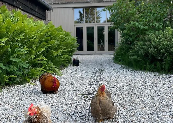 לינה וארוחת בוקר Boudevino